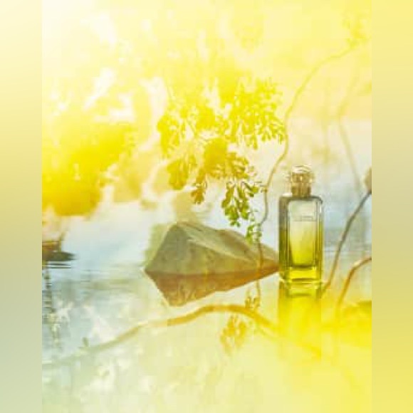 FINAL SALE🍒🤍 HERMÈS le jardín de monsieur ✨ - Picture 6 of 10